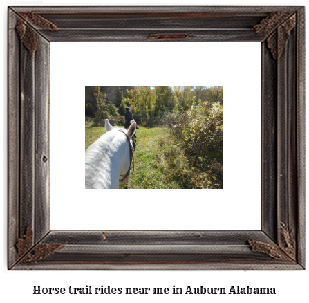 horse trail rides near me in Auburn, Alabama